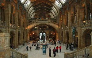 Natural History Museum